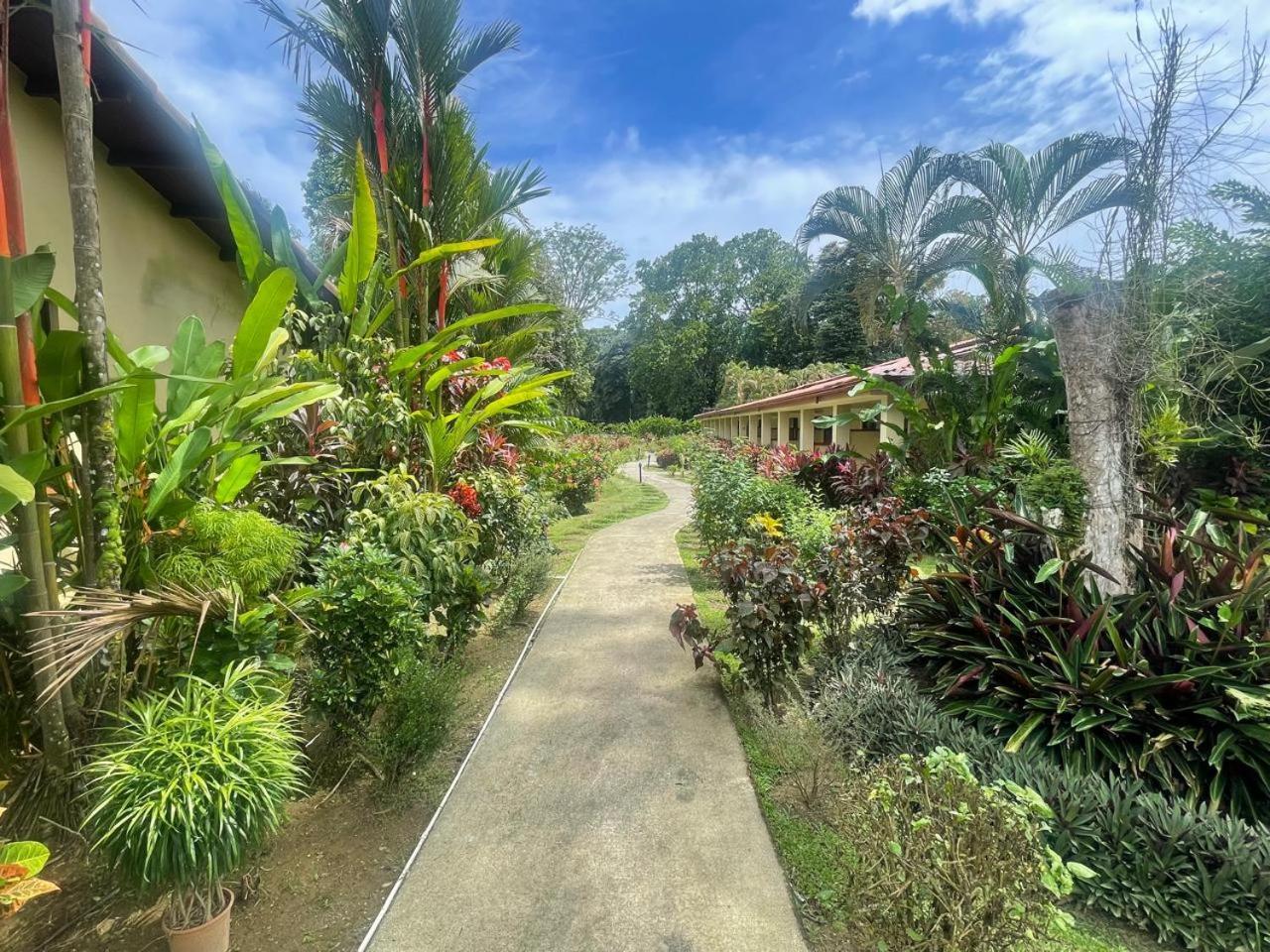La Foresta Nature Resort Quepos Ngoại thất bức ảnh